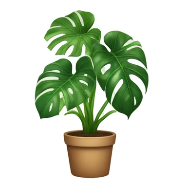 Monstera houseplant  sticker