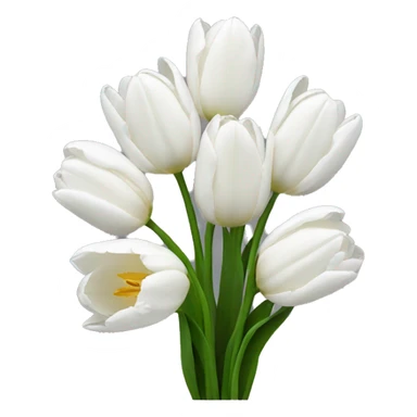 white tulips  sticker