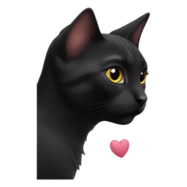 Black cat with heart sticker