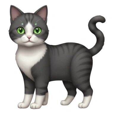 full body view of beautiful female solid dark grey cat with green eyes, white toes/paws and white patch on her chest sticker