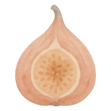 dried fig, soft and artistic watercolor sticker
