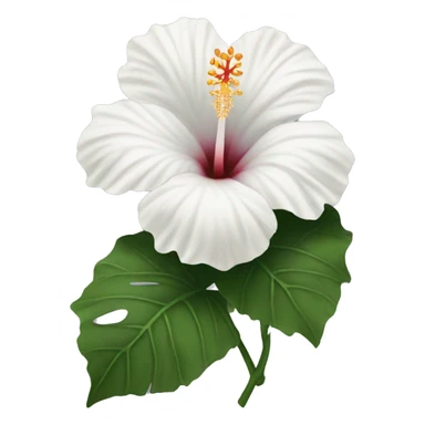 white hibiscus  sticker