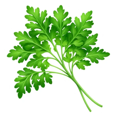 Cinematic Realistic Parsley Emoji, Fresh and vibrant, with bright green, frilly leaves that seem to shimmer with vitality. The plant exudes a sense of healthy growth and aromatic zest, inviting both beauty and flavor into any dish. Soft glowing outline, capturing the essence of freshness, health, and culinary delight in a sprig of parsley! sticker