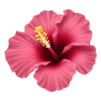 hibiscus flower sticker
