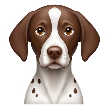German Shorthair Pointer  sticker