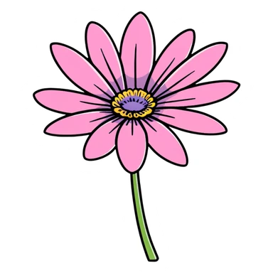 pink African daisy flower, Osteospermum, single flower with pink petals sticker