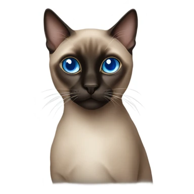 Dark Siamese cat blue eyes sticker