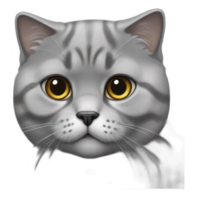 fully grey scottish fold cat sticker