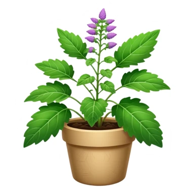 patchouli plant sticker