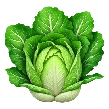 chinese cabbage sticker