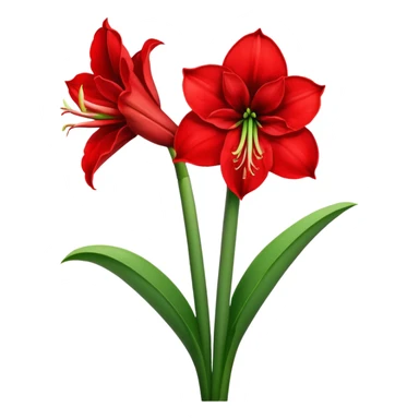 amaryllis sticker