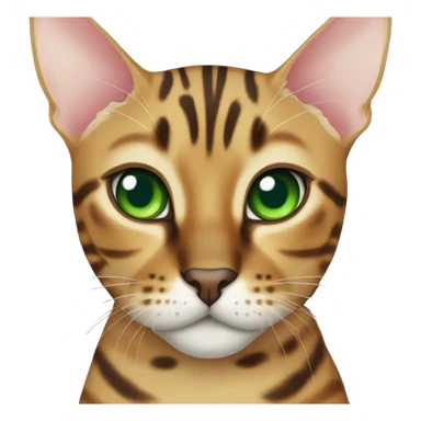 bengal cat with green eyes sticker