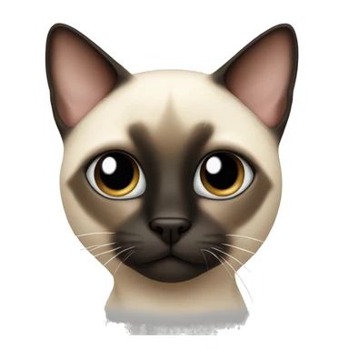 one-eyed siamese cat sticker