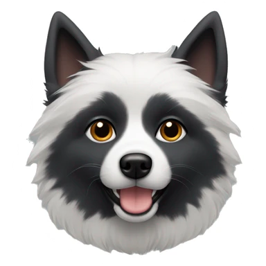Dark Grey and black American Eskimo dog with folded ears sticker