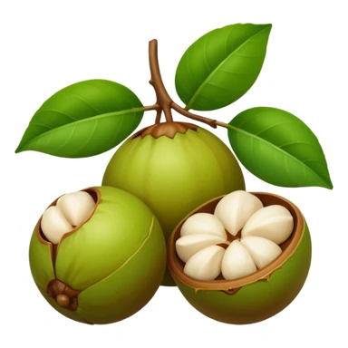 macadamia nut with leaves sticker