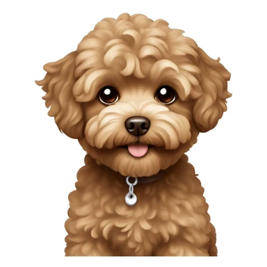 Brown maltipoo sticker