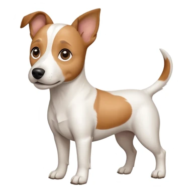 a full body white jack russel looking dog the size of a kelpie with light brown ears and a light brown patch on one eye and a large snout sticker