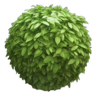 oracle laurel sphere  sticker