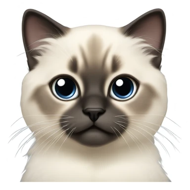 a birman kitten, small face, some spots of dark on the ears and middle of the face, laying on a shoulder sticker