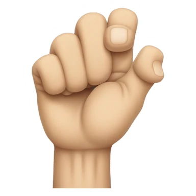 closed fist with four fingers clenched around the thumb sticker