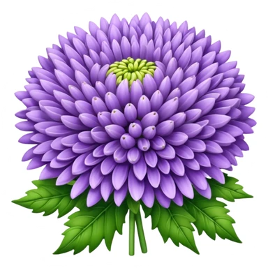 big bouquet Lavender Chrysanthemum, luxuriant, leaf, bud sticker