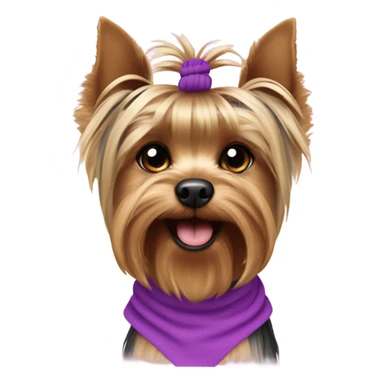 the face of a  Yorkshire Terrier  with a baby face with a ponytail on its head with a purple elastic band and pink short  sticker
