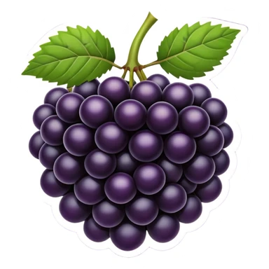 Blackberry fruit sticker
