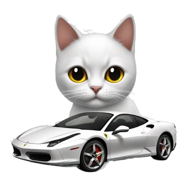cat black and white with ferrari sticker