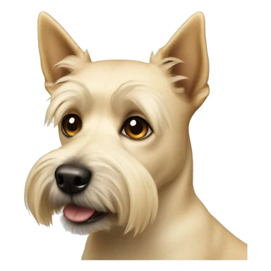 Small light blonde terrier dog sticker