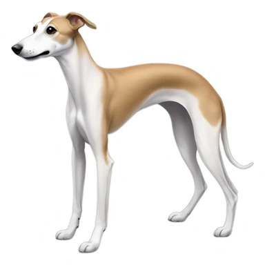 A whippet wearing shoes sticker