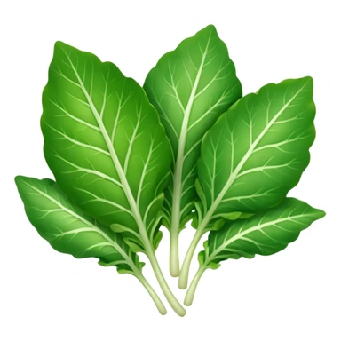 different salad leaves without bowl sticker