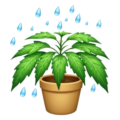 raining potleaf sticker