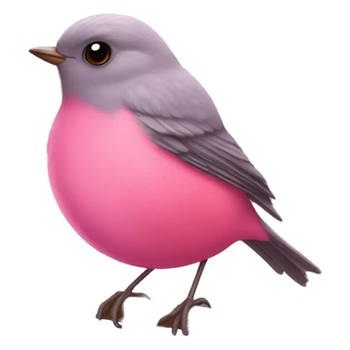 pink robin sticker