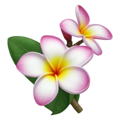 Frangipani sticker