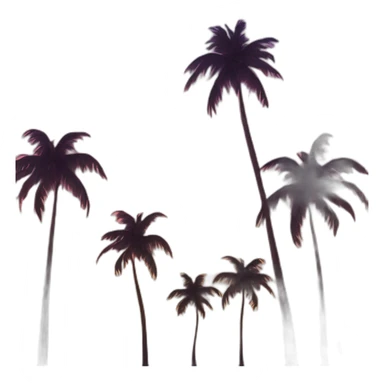 sunset palms sticker