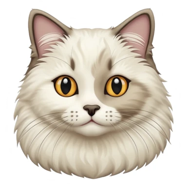 Ragdoll seal bicolor point  sticker