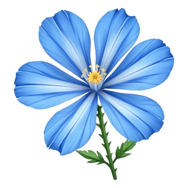 chicory sticker
