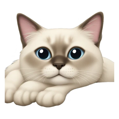 Fluffy Siamese cat laying on couch with pillow behind its head sticker