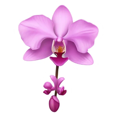 Pink orchid sticker