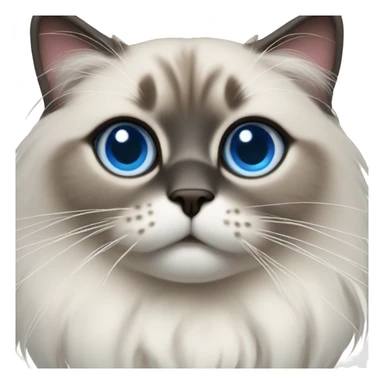 Ragdoll with blue eyes wearing a christmas sweater sticker
