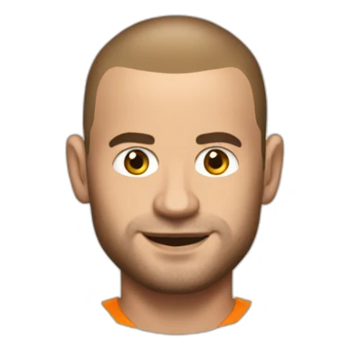 Wesley Sneijder sticker