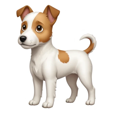 a full body large white parson russell terrier looking dog the size of a kelpie with light brown big ears and a light brown patch on one eye and a large snout sticker