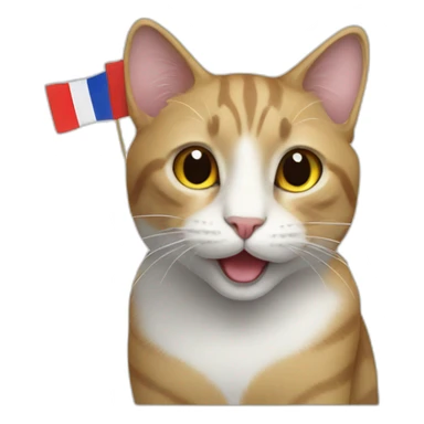 A cat with french flag sticker