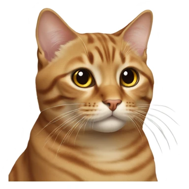 Realistic cat brown laying  sticker