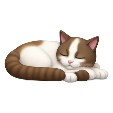 snowshoe cat sleeping with a toy sticker