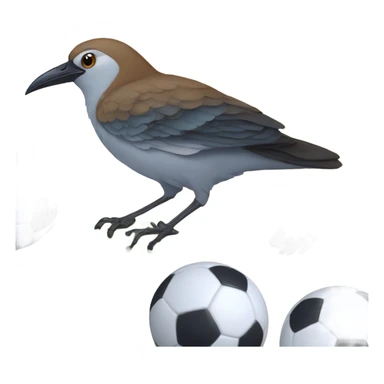 Bird with a soccer Bali sticker