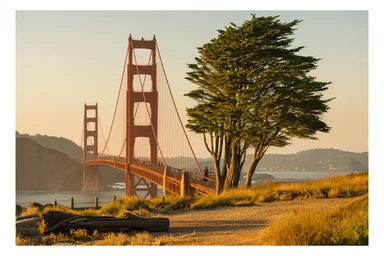 In image, take out words and arrows sticker