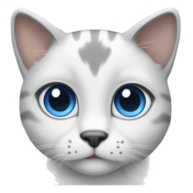gray and white cat with blue eyes sticker