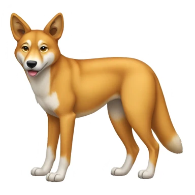 Dingo Full Body sticker