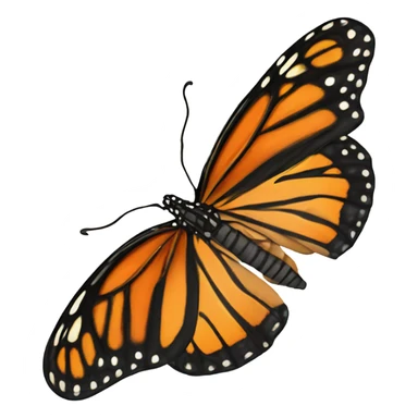 Monarch buttefly  sticker